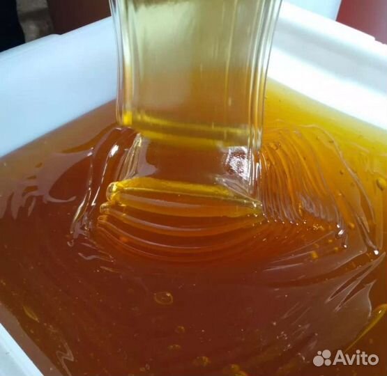 Мёд натуральный урожай 2023 года