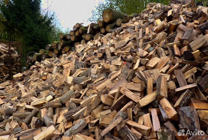 Дрова свежие