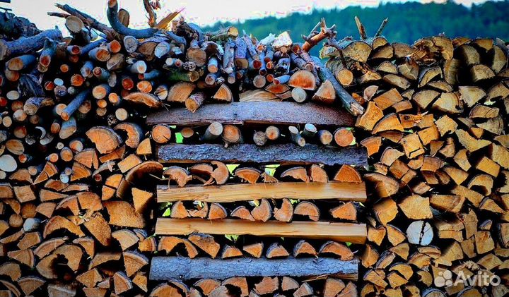 Дрова лиственных пород