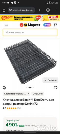 Декоративные кролики