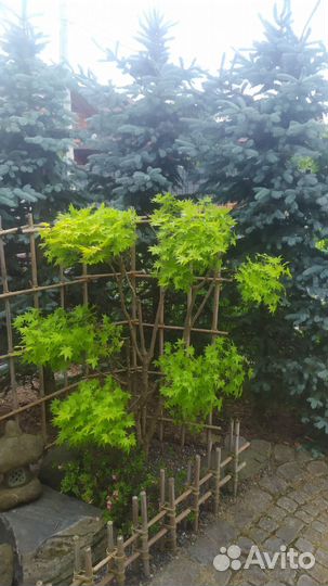 Садовник, уход за садом. Ландшафтный дизайн