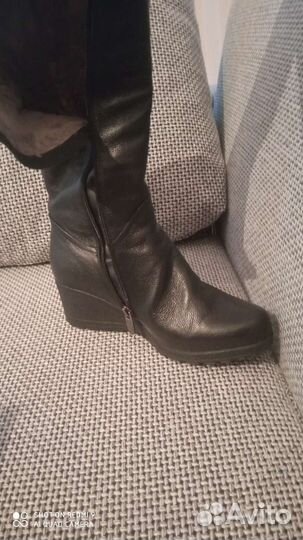 Сапоги женские