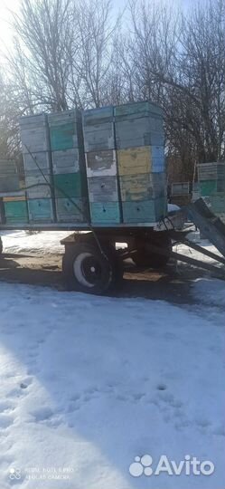 Прицеп пчеловодческий