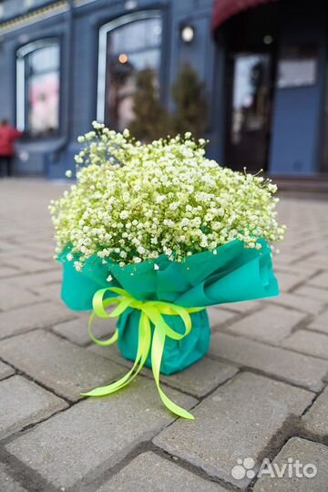 Композиции из гипсофилы