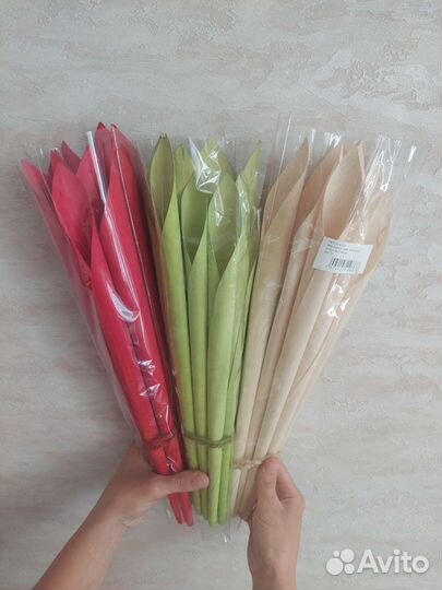 Каллы сухоцветы