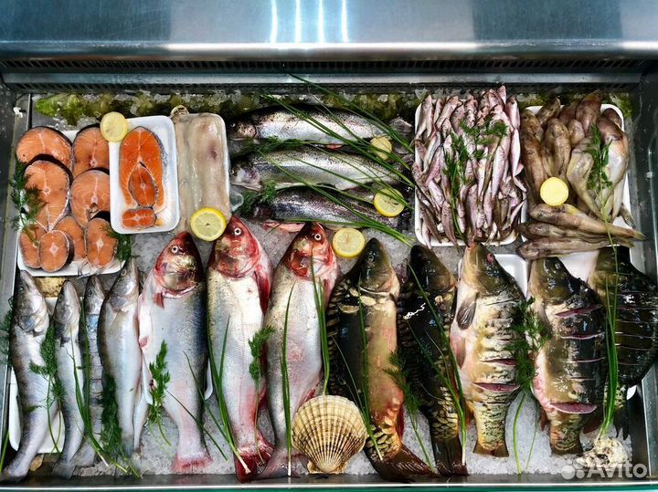 Франшиза рыбного магазина в центре города
