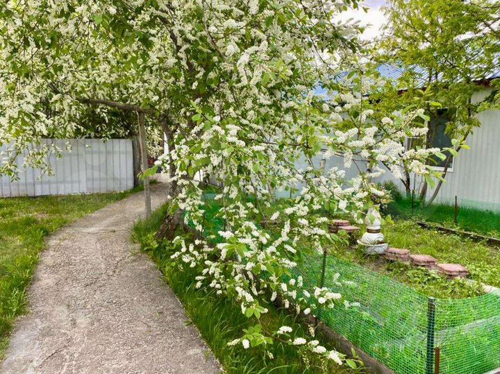 Дом 52,4 м² на участке 3,5 га