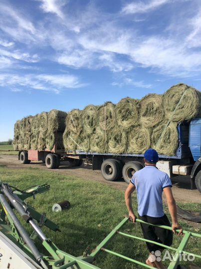 Сено в рулонах и тюках