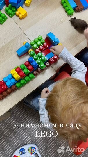 Педагог раннего развития