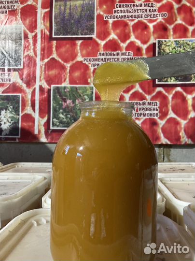 Мед/мёд Цветочный