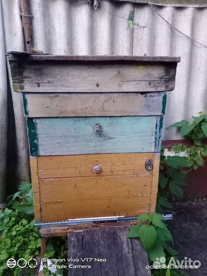 Пчелы и улья