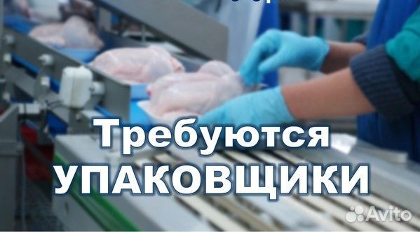 Упаковщик на птицефабрику вахта