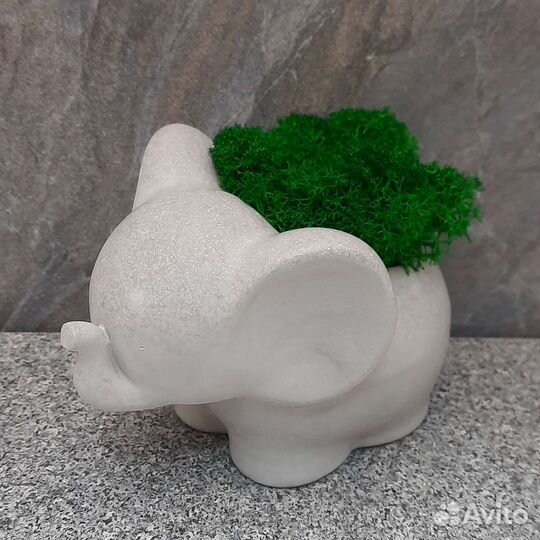 Слоник со стабилизированным мхом