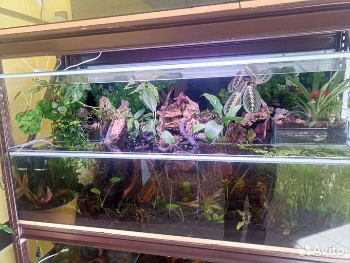 Аквариумы