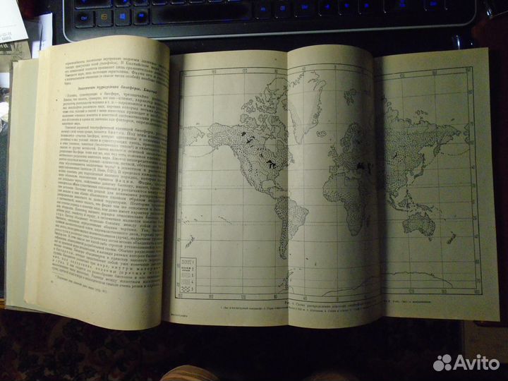 Гептнер В. Г. Общая зоогеография (1936)