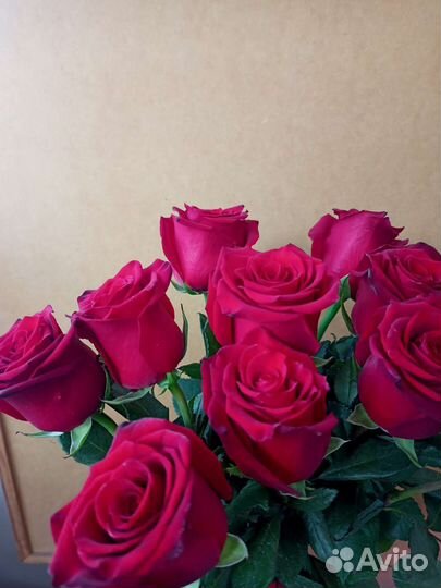 Букет из 11 красных роз