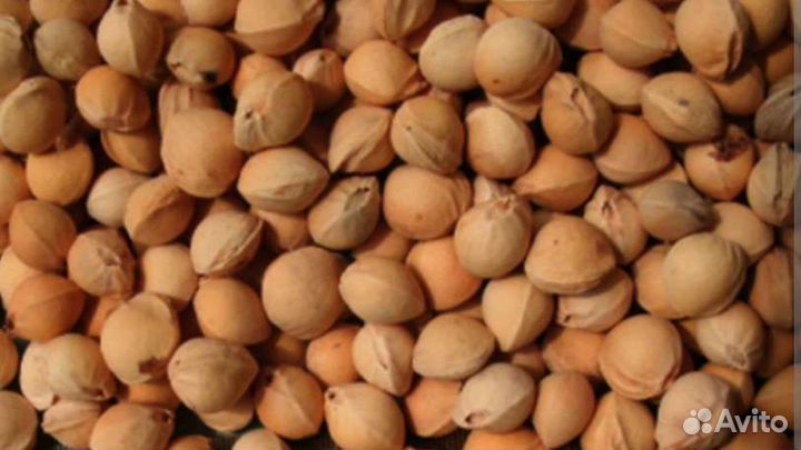 Вишневые косточки.Косточки вишни