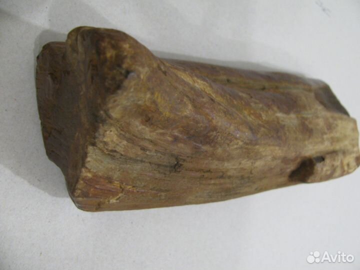 Окаменелое дерево (в коллекцию)