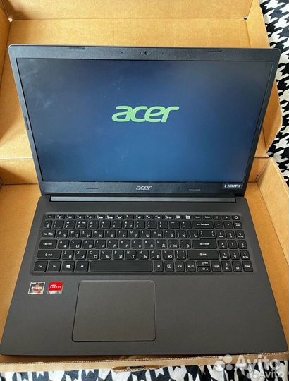 Acer extensa