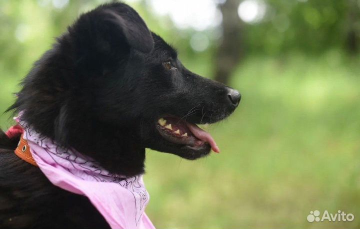 Молоденькая девочка в дар