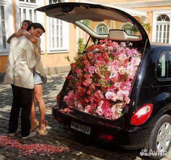 Доставка растений