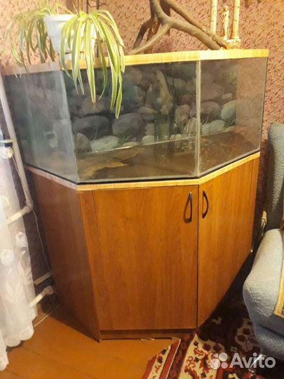 Аквариум