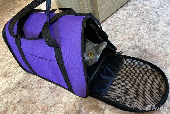 Переноска для кошек Аренда
