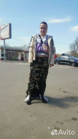 Передержка животных