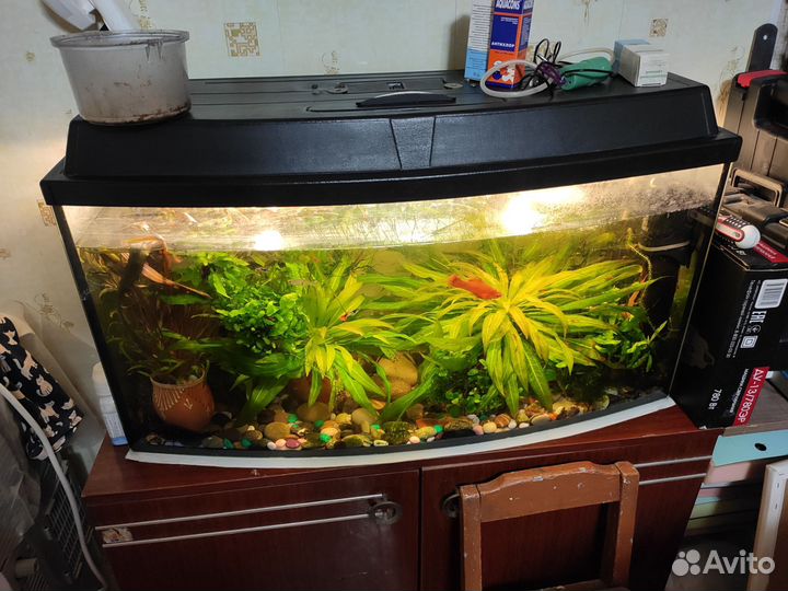 Аквариум с рыбками