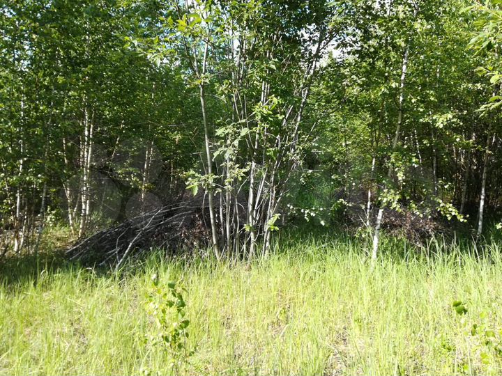 Участок 30 сот. (СНТ, ДНП)