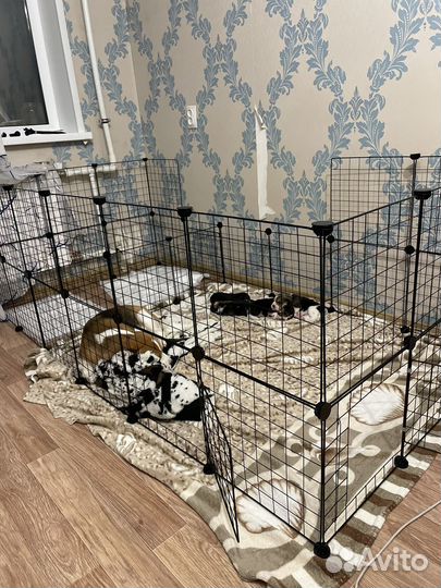 Вольер для собак бу