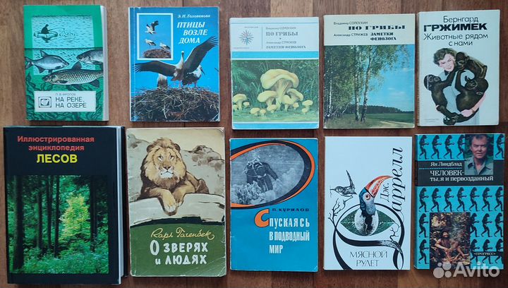 Природа, животные. История. Индия