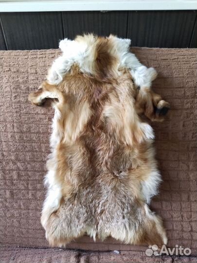 Лисья шкура