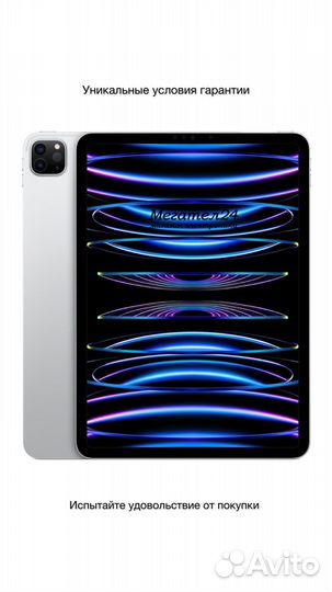 iPad Pro 11 (2022) 1Tb Wi-Fi + Cellular Silver