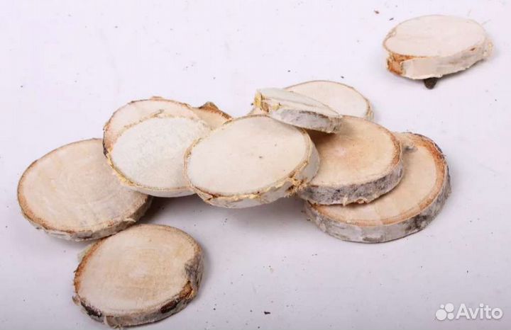 Спилы дерева (береза)