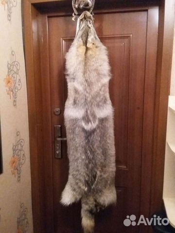 Шкура волка