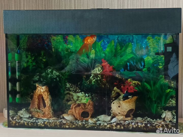 Аквариум