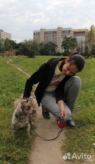 Выгул и передержка собак Митино