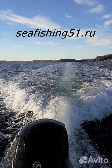 Морская рыбалка, киты,экскурсии