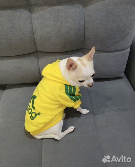 Кофточка для питомца