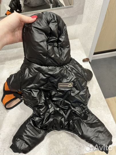 Одежда для собак