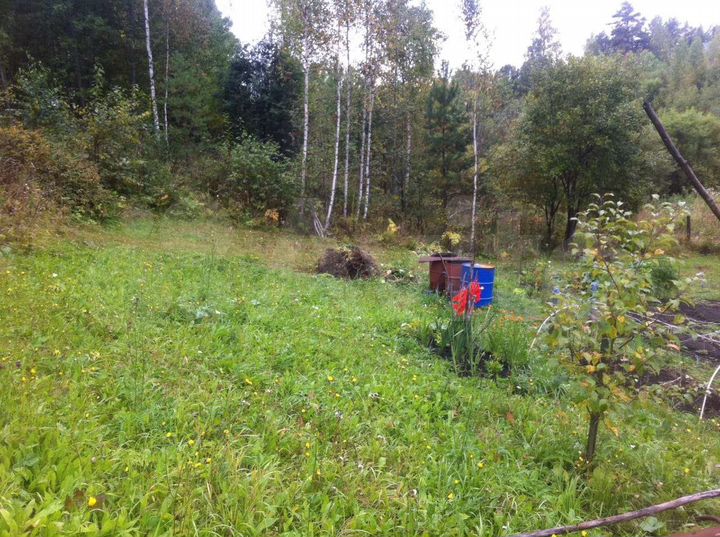 Участок 12 сот. (СНТ, ДНП)