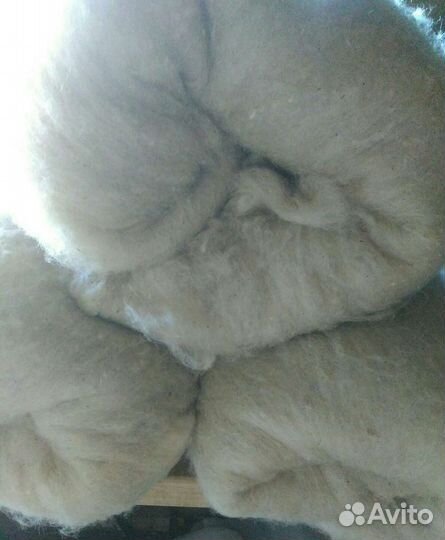Шерсть овечья