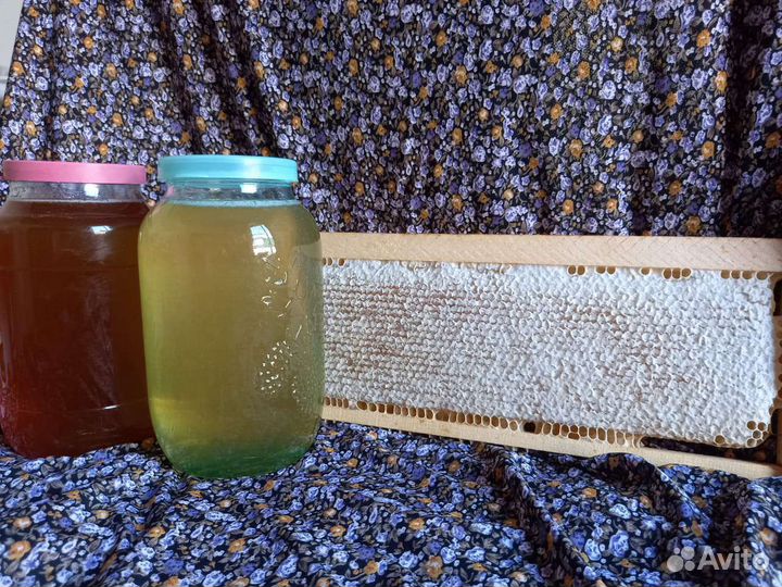 Мед в сотах