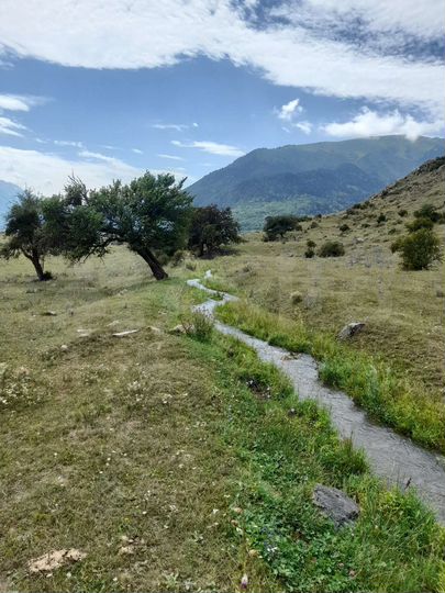 Участок 70 сот. (ИЖС)