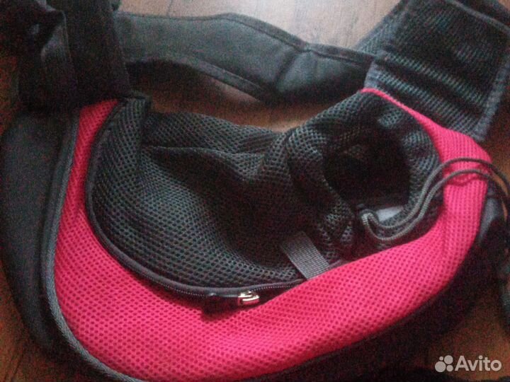 Амуниция для собак и кошек