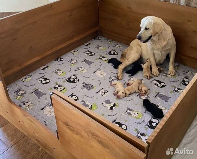 Пеленки многоразовые непромокаемые многослойные