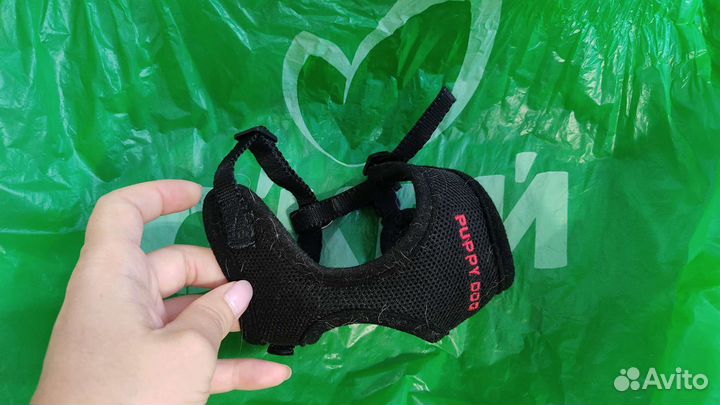 Вещи для чихуахуа или собаки мелкой породы