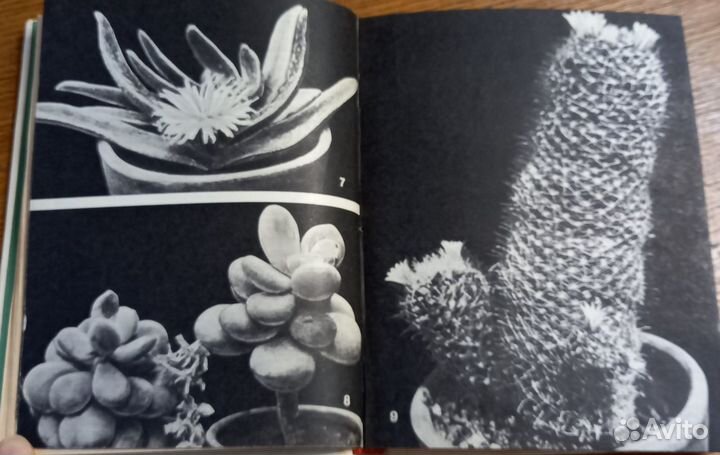 Полезные книги для домохозяйства