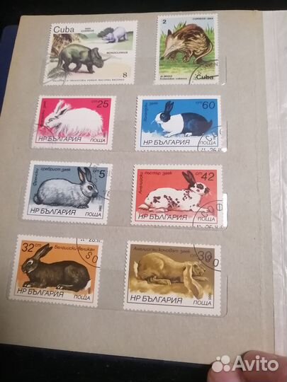 Коллекция советских марок в альбоме